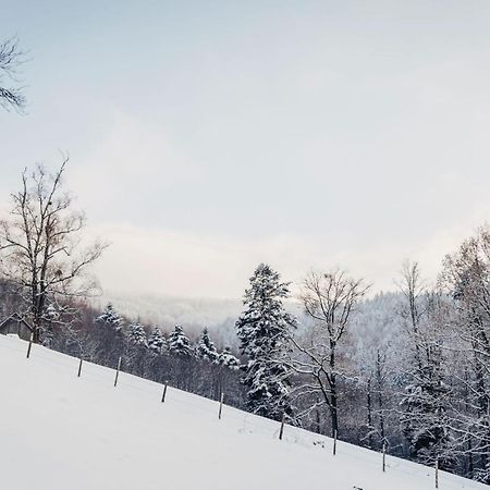 Waldjuwel Mostviertel Allhartsberg Exteriér fotografie