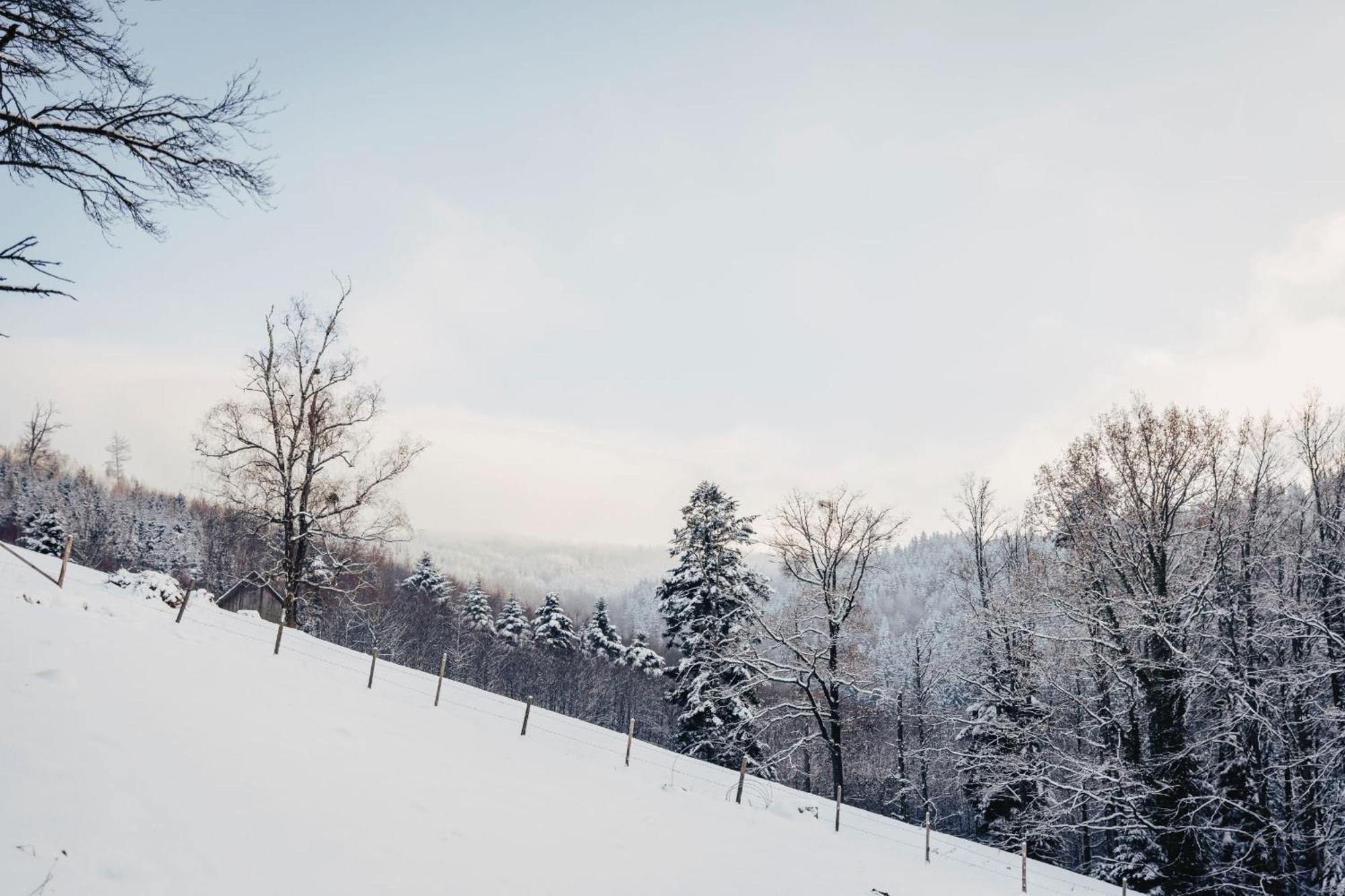 Waldjuwel Mostviertel Allhartsberg Exteriér fotografie